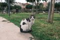 Antalya-Trukey_202502_12