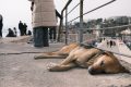 Antalya-Trukey_202502_15