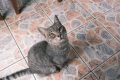 Antalya-Trukey_202502_8