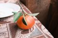 GoremeCappadokia-Trukey_202502_18