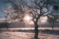 GoremeCappadokia-Trukey_202502_39