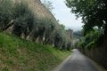 02Firenze-01Italia-7