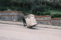 Istanbul-Trukey_202502_28