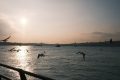 Istanbul-Trukey_202502_30