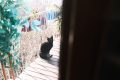Istanbul-Trukey_202502_36