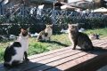 Istanbul-Trukey_202502_8