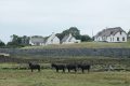38Kinvarra-08Ireland-9