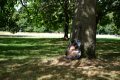 Rest under the tree / London