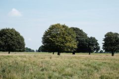 Tatton park / Manchester