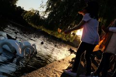 Brilliant Friday Evening in Hide Park / London