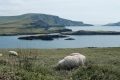 43Portmagee-08Ireland-1