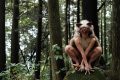 Meisha Megan Brown-1