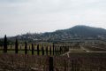 Milano-Itery_202502_12